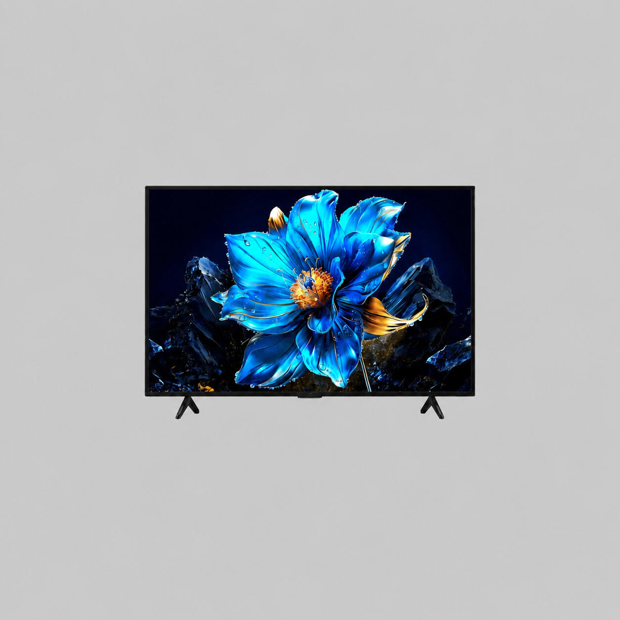 Televizyon